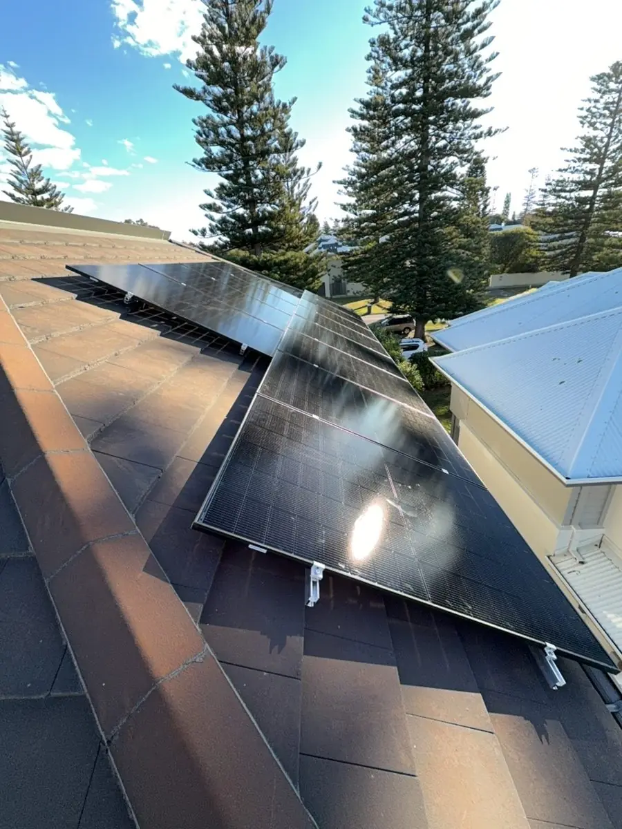 Solar panels on a tiled roof beside Norfolk pines